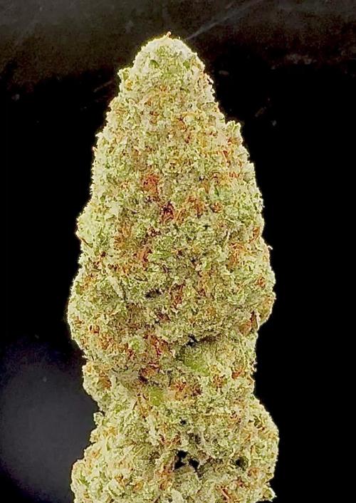 DeliciouS Cookies 11x