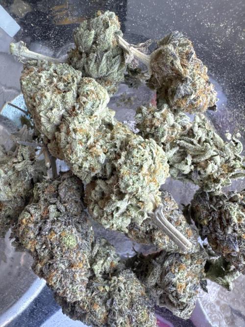 DeliciouS Cookies 11x. Week 14
