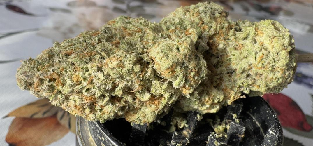 DeliciouS Cookies 11x. Week 14