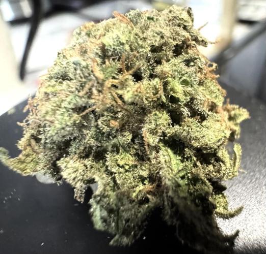 Sunset Sherbet Go Fast. Week 22