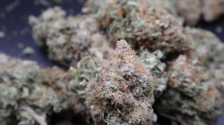 Sunset Sherbet Go Fast. Week 22