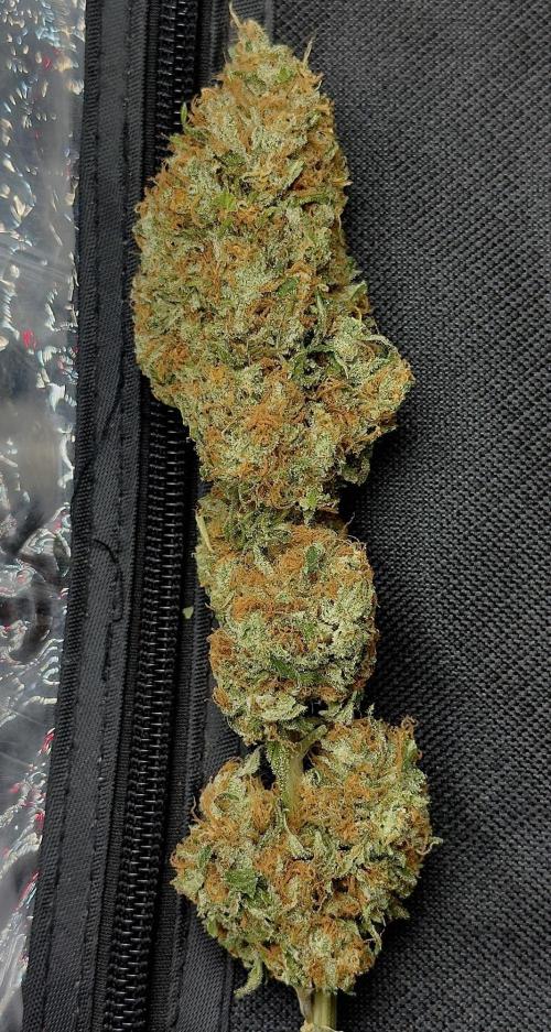 Sour Diesel . Week 19