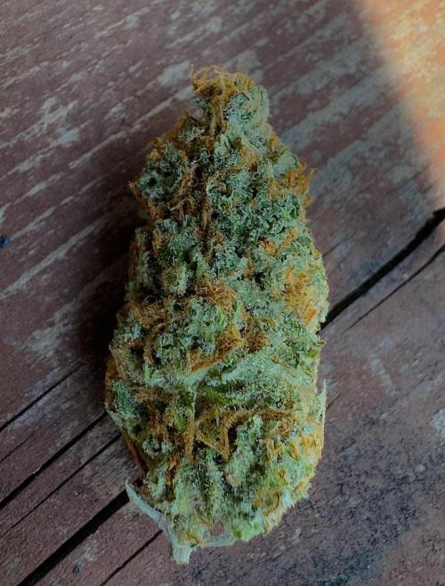 Sour Diesel . Week 19