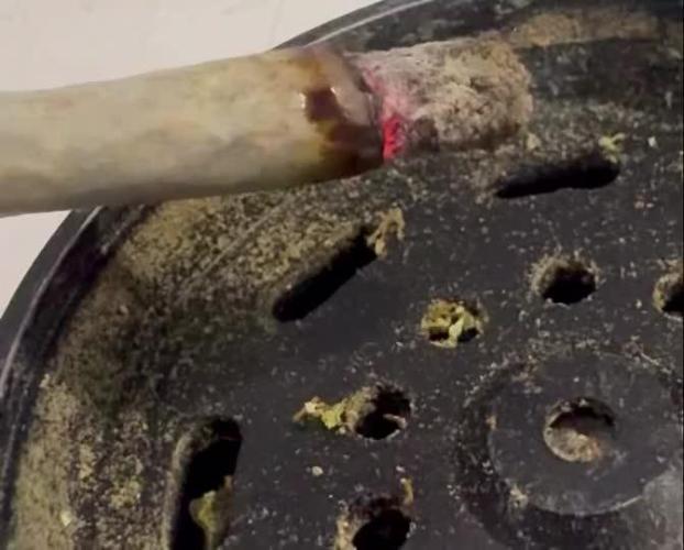 Pure skunk Go Fast