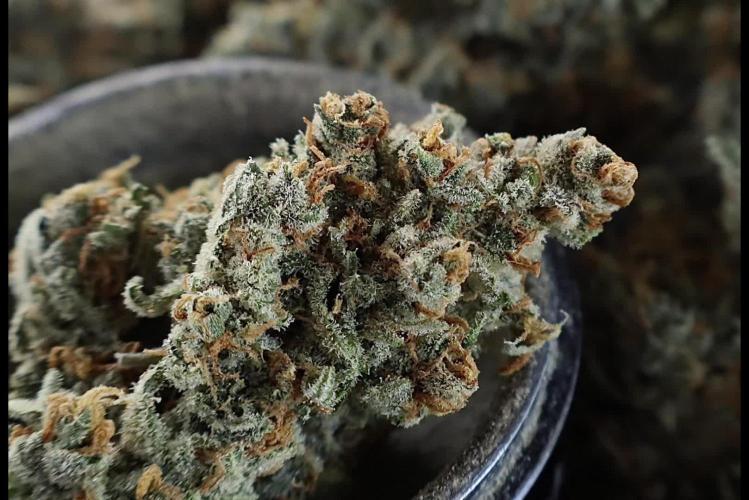 Delicious Cookies Auto #3?