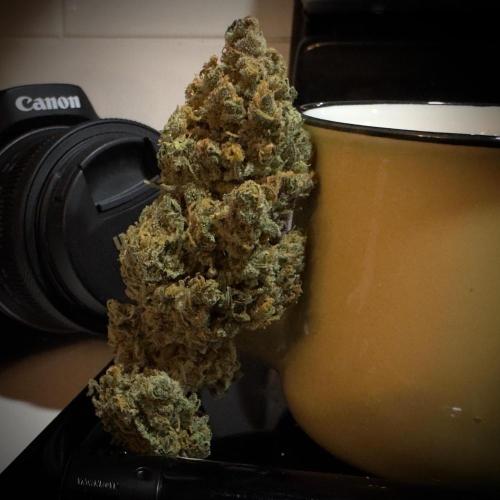 Delicious Cookies Auto #3?. Week 13