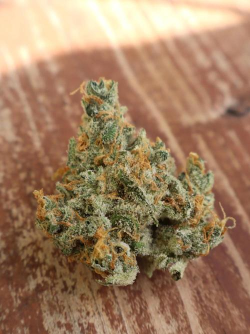 Delicious Cookies Auto #3?. Week 13