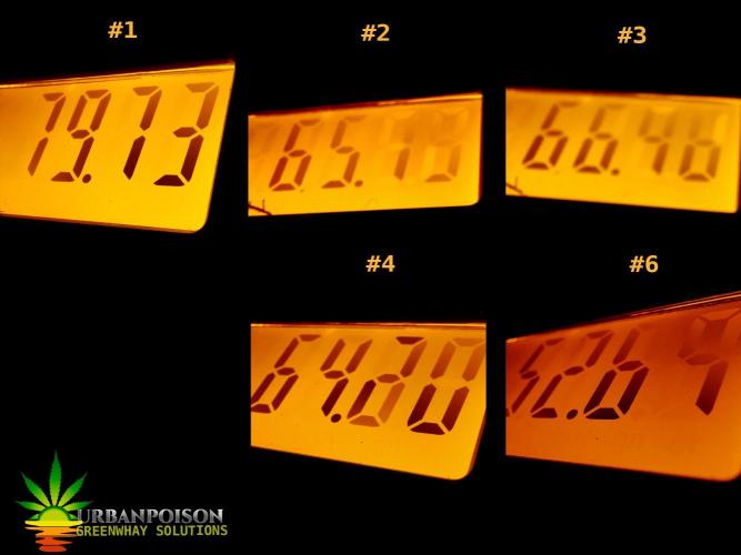 URBAN POISON, GreenWay Solutions.. Week 16 - 328,18gr.