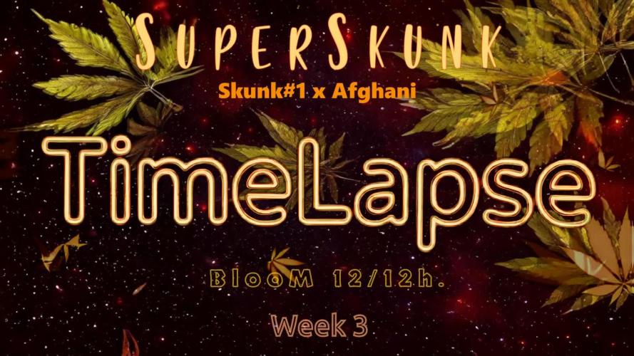 SuperSkunk