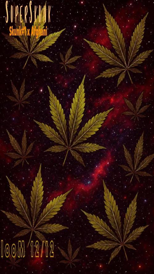 SuperSkunk