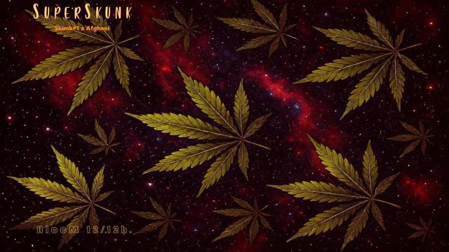 SuperSkunk