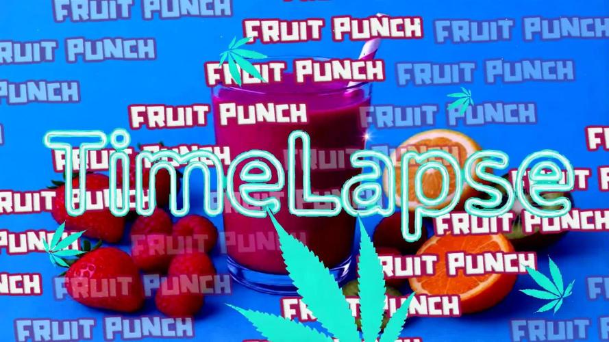 Fruit Punch
