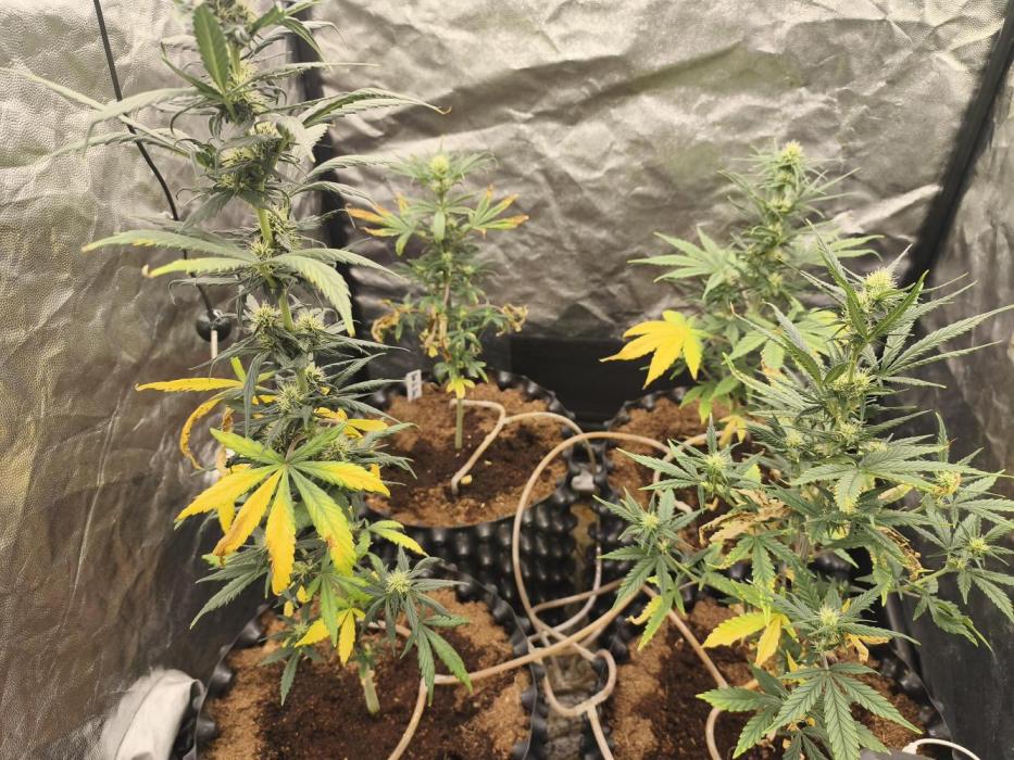 Jan26. Week 3