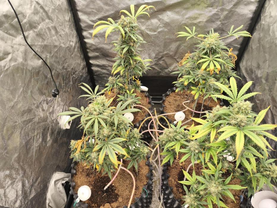 Jan26. Week 8