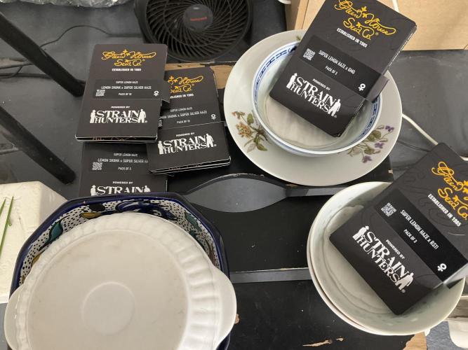 Strain Hunters GHS Co... Week 0