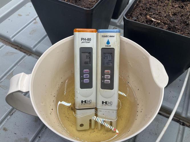 Green House Seed Co.. Week 3