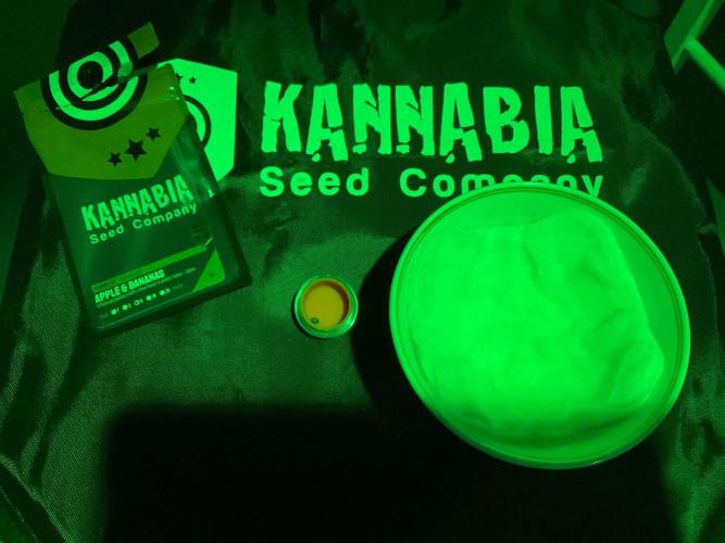 Apple & Banana. Week 0