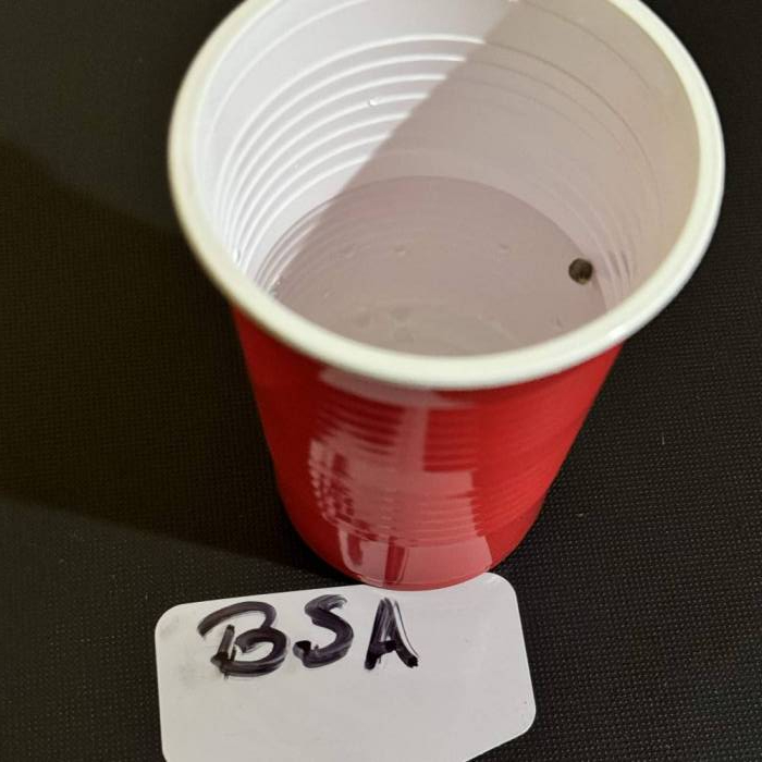 BLOODY SKUNK AUTO SWEET SEEDS. Week 0 - Hidratación en agua por 8 hora