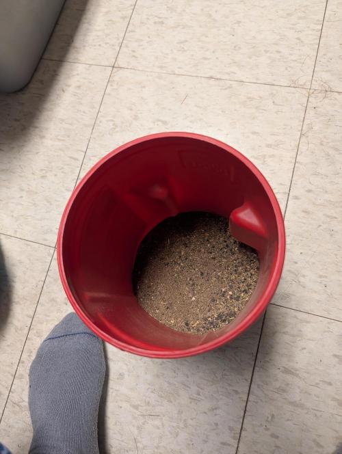 Mr. Haney screen of green. Week 5 - I call it my Gaia green!