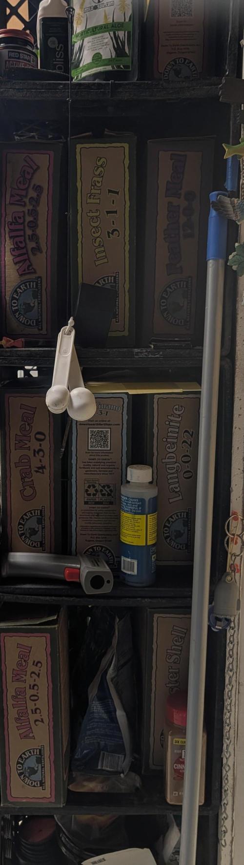 Mr. Haney screen of green. Week 5