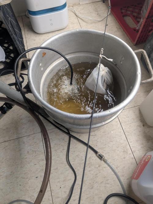 Mr. Haney screen of green. Week 7 - Brew my tea 24 hours only