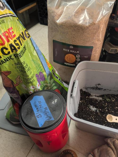 Mr. Haney screen of green. Week 9