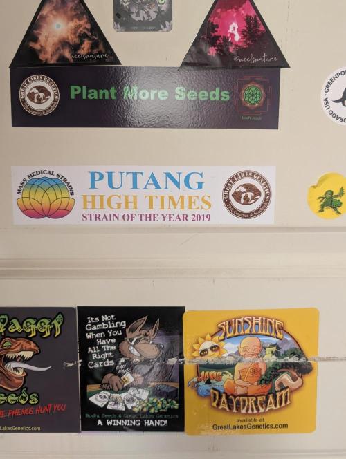 Mr. Haney screen of green. Week 10