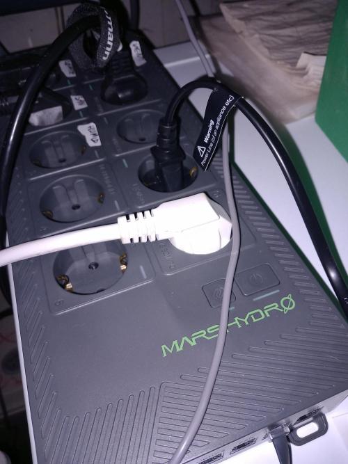 Kush Mint Super  Strains. Week 1