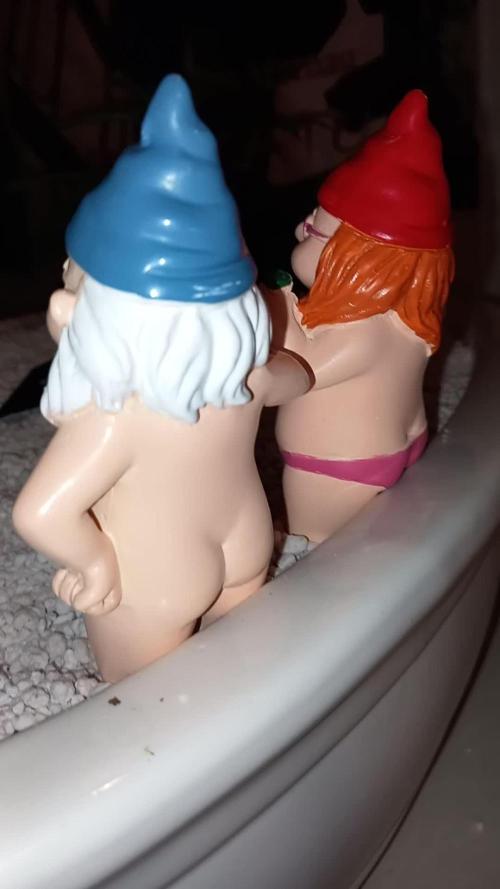 Cannabonsai Purple Lemonade Auto