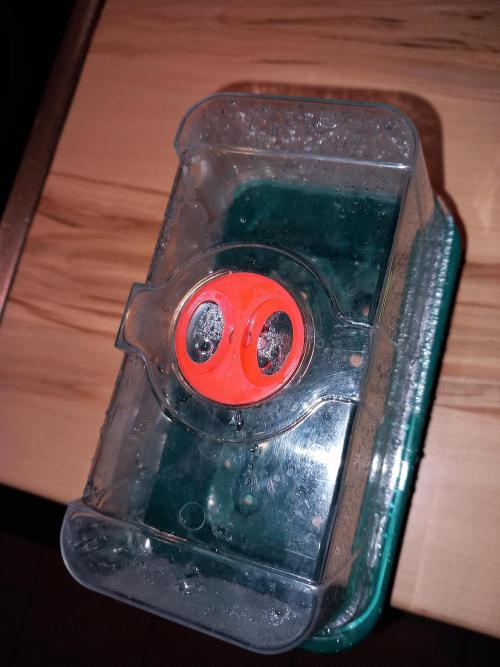 Tester F028 Dutch Passion. Week 0