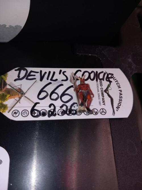 The Devil's Cookie One. Week 5 - The number of the beast