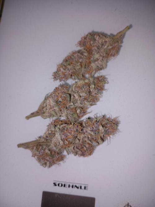 Triple G Automatic. Week 10 - Glitters!! 24% THC!!