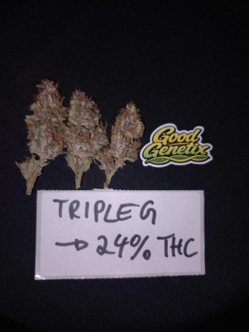 Triple G Automatic. Week 10