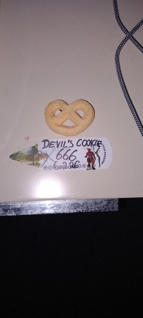 The Devil's Cookie One. Week 13