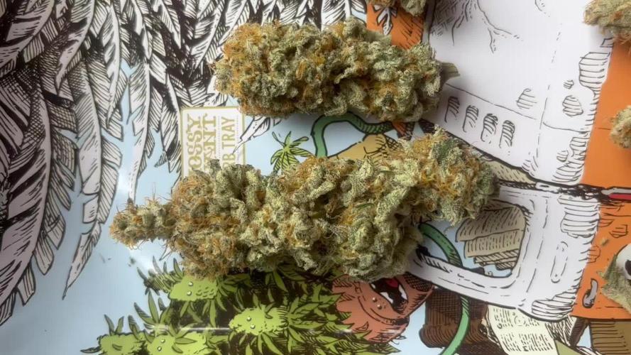 Dantes Inferno #8 MileHighDaveCut