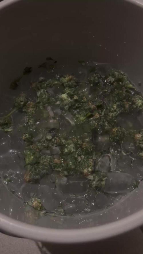 Dantes Inferno #8 WPFF