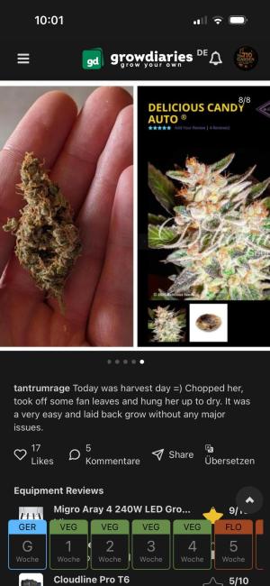 Comment by The710Garden photo #1