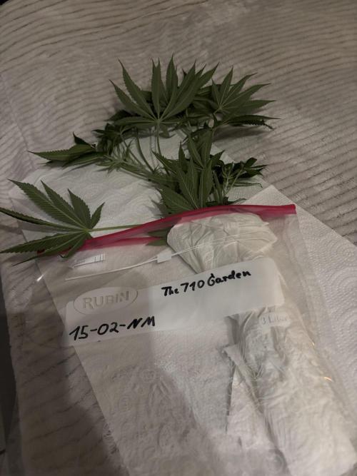 New Money Compound Genetics. Week 9