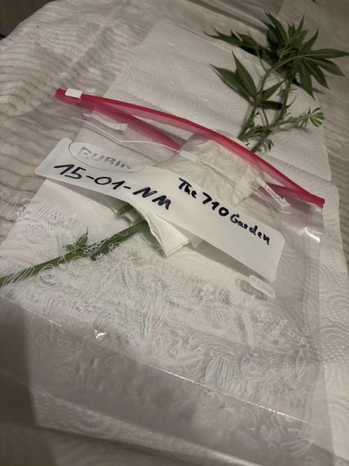 New Money Compound Genetics. Week 9