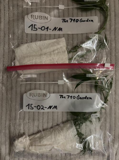 New Money Compound Genetics. Week 9