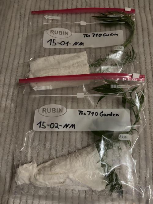 New Money Compound Genetics Flo/IWH. Week 7