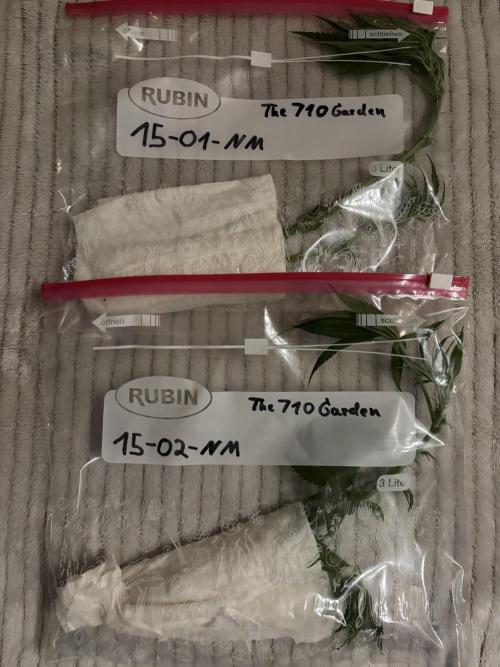 New Money Compound Genetics Flo/IWH. Week 7
