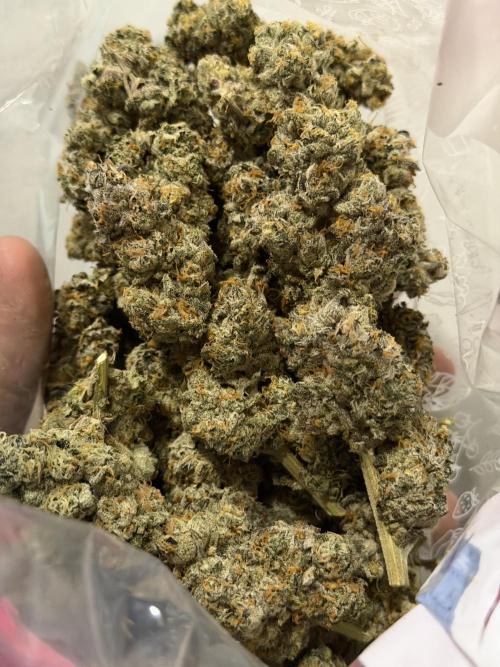 New Money Compound Genetics Flo/IWH. Week 18 - Ungetrimmt bzw. nur leicht vorgetrimmt nach 11 Tagen ab Erntezeitpunkt! 
