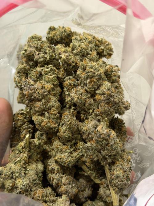 New Money Compound Genetics Flo/IWH. Week 18 - Und alles in Terploc/Grovebags verpackt zum curen!