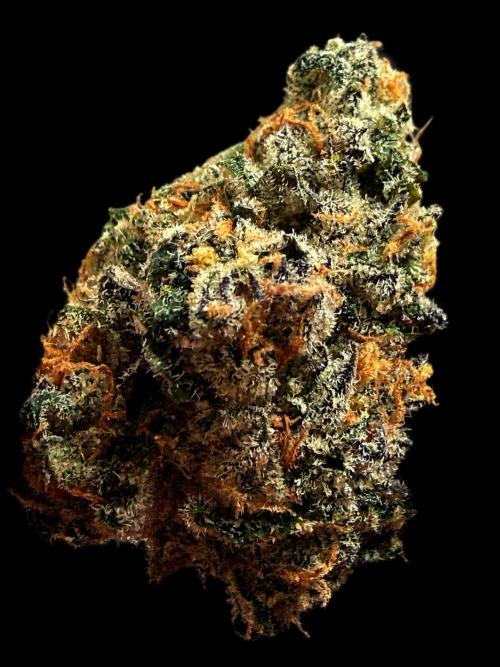 New Money Compound Genetics Flo/IWH. Week 18 - When I find time to picture them Not randomly 🤣 i show some Mainbuds 🤣🏻💚😘