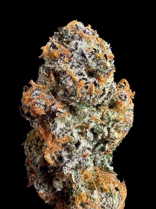 New Money Compound Genetics Flo/IWH. Week 18