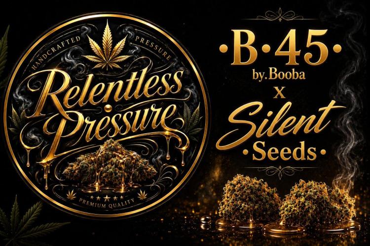 B•45 by Booba. Week 0