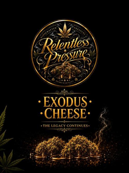The Real Exodus. Week 0