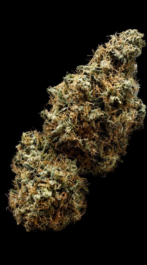 Lemon Cherry Gelato. Week 12
