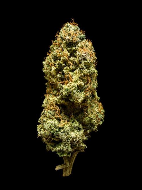 Fanta Seriotica. Week 10